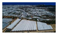Türkiye örtü altı üretim alanı 80 milyon metrekareyi aştı