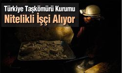 Türkiye Taşkömürü Kurumu Nitelikli İşçi Alıyor 