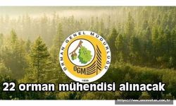 22 orman mühendisi alınacak