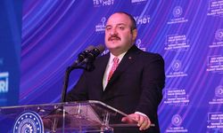 Bakan Varank: Türkiye ekonomisini kurlar üzerinden ölçmek haksızlık
