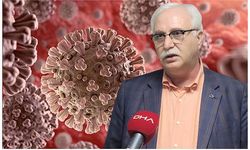 Bilim Kurulu Üyesi Özlü: Koronavirüs sonrası en büyük hasar akciğerlerde