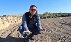 Bizans'ın son kalesi Dara'da yeni höyük bulundu