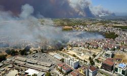 'Büyük Manavgat yangını' davasında tutuklu sanığa tahliye
