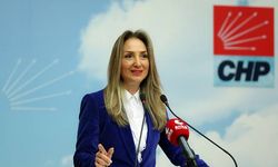 CHP'li Nazlıaka: Yeni yıl, yeni umutlarla gelecek