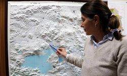 Doç. Dr. Selçuk: Van Gölü'nün kuzeydoğusuna doğru deprem göçü var