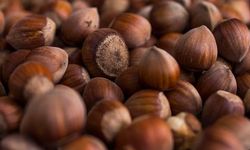 Ferrero Fındık’tan aralık ayı tarımsal uygulama önerileri