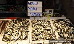 Hamsi avcılığı dibe vurdu