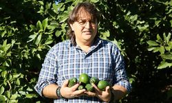 Akdeniz'de çiftçilere 5 günlük don uyarısı