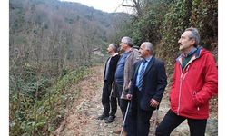 'Bal ormanı'na taş ocağına 'ÇED gerekli değil' kararı iptal