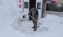 Bitlis’te 198 köy yolu, kardan kapandı