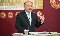 İYİ Parti'li Usta: Bunun bedelini Türkiye öder
