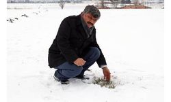Kar yağışı, Eskişehirli çiftinin yüzünü güldürdü