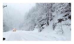 Karadeniz'de 1644 köy ve mahalle yolu kapandı, okullar tatil