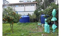 Mineralli jeotermal suyla gübresiz tarım