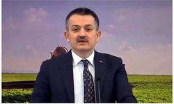 Pakdemirli: Hibe desteği başvuruları başladı
