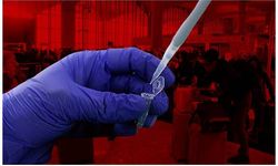 PCR testi zorunluluğu kaldırıldı