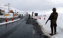 Van- Bahçesaray kara yolunun 7 noktasına çığ düştü