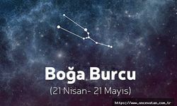 YÜKSELEN BOĞALAR