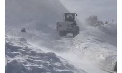 Artvin'de çığ düştü; iş makinesi kara gömüldü