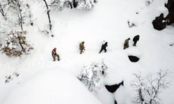 Karlı zirveye bırakılan yemleri yiyen yaban keçileri fotokapanda