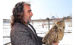 'Kış şartlarına bağlı hasta hayvan sayısı 5'e katlandı'