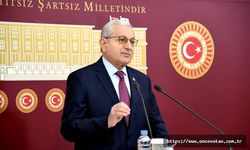 Nuhoğlu; Dışişleri AKP’nin Yan Kuruluşu Haline Geldi