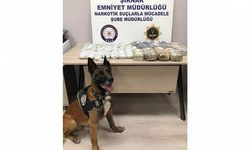 Şırnak'ta yabancı plakalı araçtaki 19 kilo eroini 'Stark' buldu