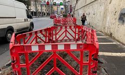 Çırağan Caddesinde kesilen 112 ağaç için İBB'ye ceza verildi