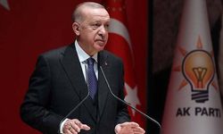 "Dalgalanmalar geçiş sürecinin bedelleridir"