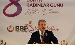 Destici: Kadına şiddet uygulayarak öldürmüş birisi gün yüzü görmemeli