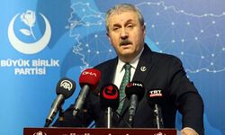 Destici: Türkiye diplomaside doğru bir çizgi izliyor
