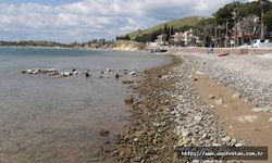 Foça'da deniz 20 metre çekildi
