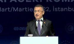 Fuat Oktay: Romanya-Türkiye ticaret hedefimiz 15 milyar dolar