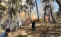 Göcek'te orman yangını