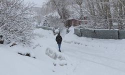 Karlıova'da 20 köy yolu, kardan kapandı