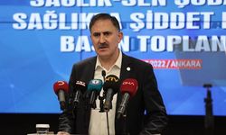 Sağlık-Sen Başkanı Durmuş: Şubatta 43 sağlık çalışanı şiddete maruz kaldı
