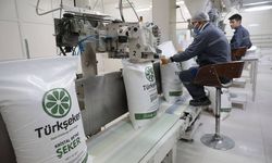 Türkşeker: 200 bin tonluk ihtiyaç fazlası şeker üretimimiz bulunmakta