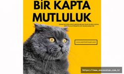 Watchofroyal'den minik dostlara 'bir kap mutluluk'