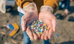 “2021’de Türkiye’de çıkan plastik atık miktarı yaklaşık 5 milyon 600 bin ton”