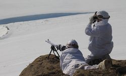 747 operasyonda 44 terör şüphelisi tutuklandı