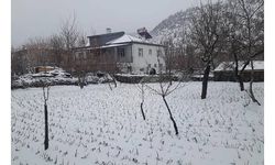Aksaray, nisan ayında yağan karla beyaza büründü 