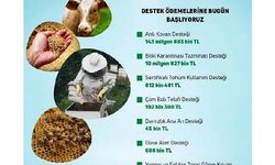 Bakan Kirişci: Destek ödemeleri bugün hesaplara yatacak