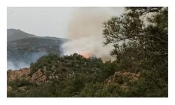 Bodrum'da orman ve makilik yangını