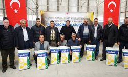 Çanakkale'de üreticilere devlet katkılı ayçiçeği tohumu