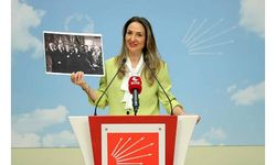 CHP'li Nazlıaka: Çoğulcu ve katılımcı demokrasiyi tesis edeceğiz