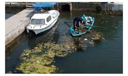 Dalyan Kanalı'ndan 10 ton atık çıkarıldı