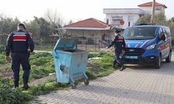 Denizli'de 20 kedi ve köpek ölü bulundu