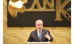 Destici: BBP seçimlere hazırdır
