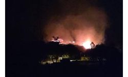 Hatay'da orman yangını