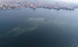 İstanbul sahillerinde müsilaj geri mi dönüyor